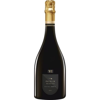 Игристое вино Fanagoria Primum Alveus Extra Brut Aged