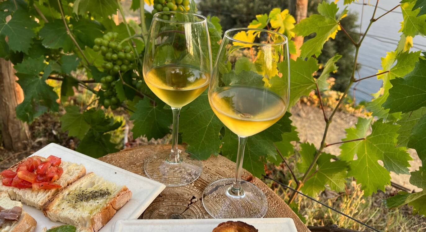 Фурминт: венгерский сорт, который умеет всё