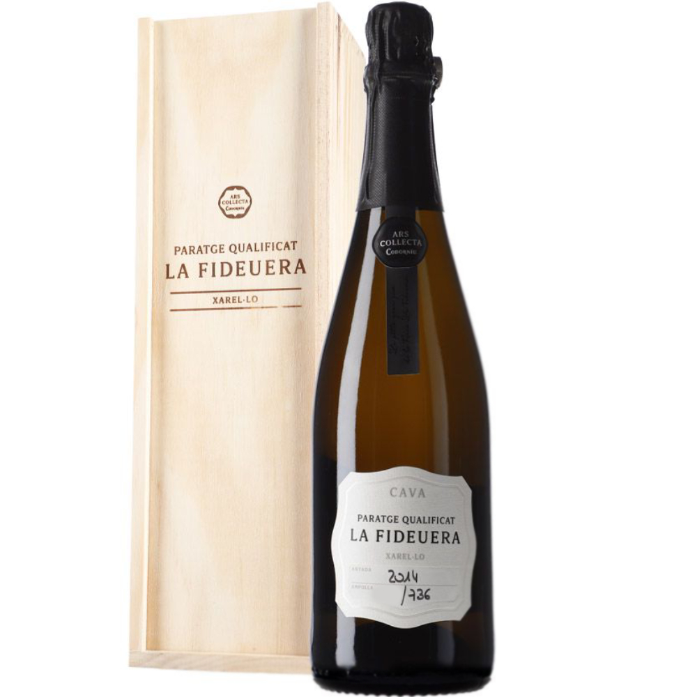 Игристое вино Cava Codorniu Ars Collecta Paraje Calificado La Fideura Gran Reserva DO