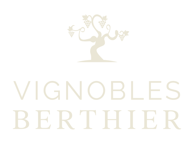 Vignobles Berthie • Виньобль Бертье
