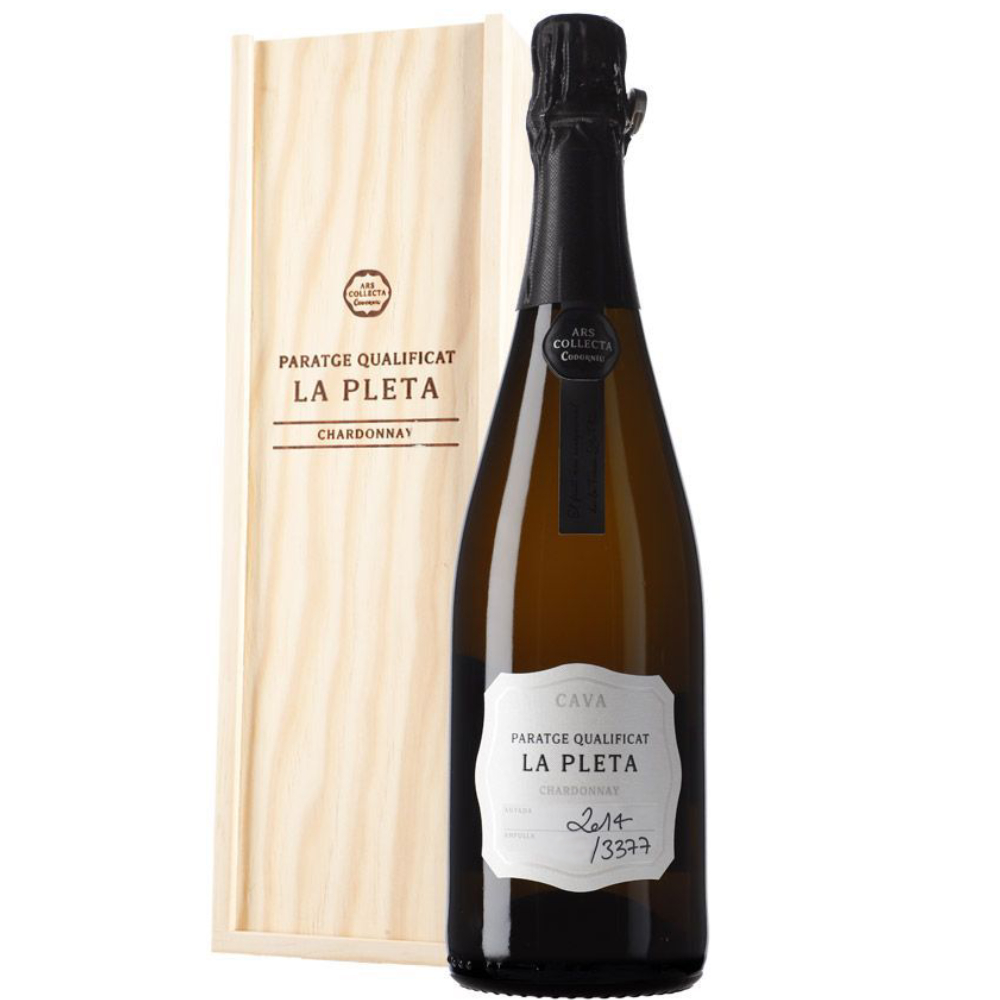 Игристое вино Cava Codorniu Ars Collecta Paraje Calificado La Pleta Gran Reserva DO