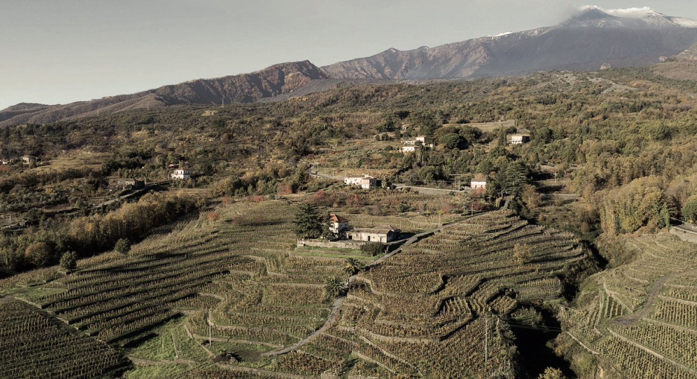 Maugeri Frontemare среди лучших вин Италии 2025 