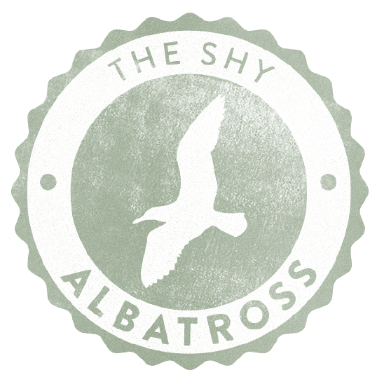Shy Albatross • Шай Альбатрос