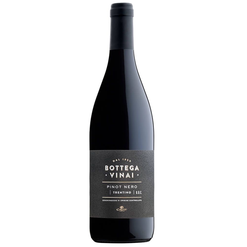 Вино Bottega Vinai Pinot Nero