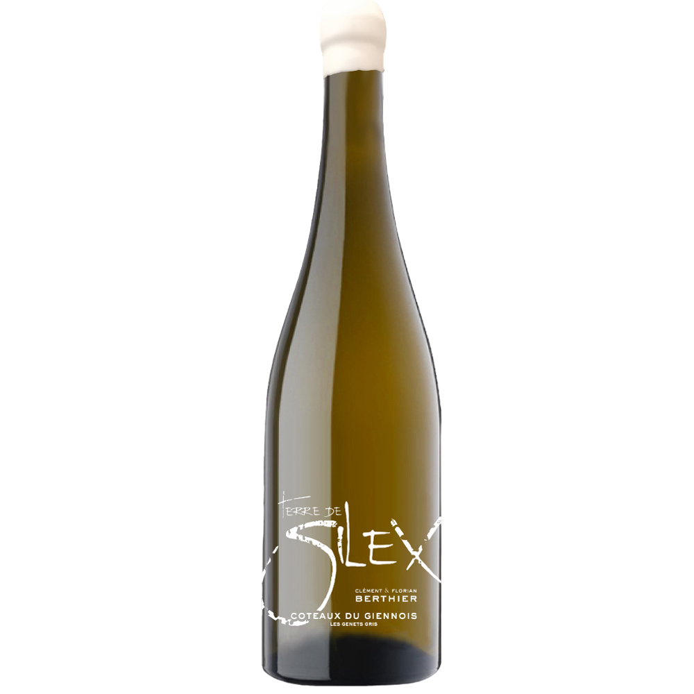 Вино Berthier Terre de Silex Coteaux du Giennois AOC