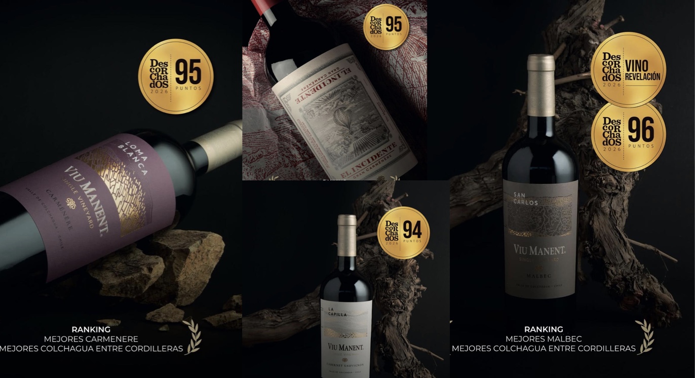 Эталон чилийского стиля: успехи винодельни Viu Manent