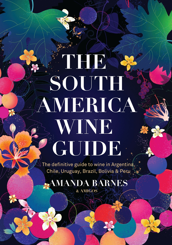 The-South-America-Wine-Guide-ebook.jpg